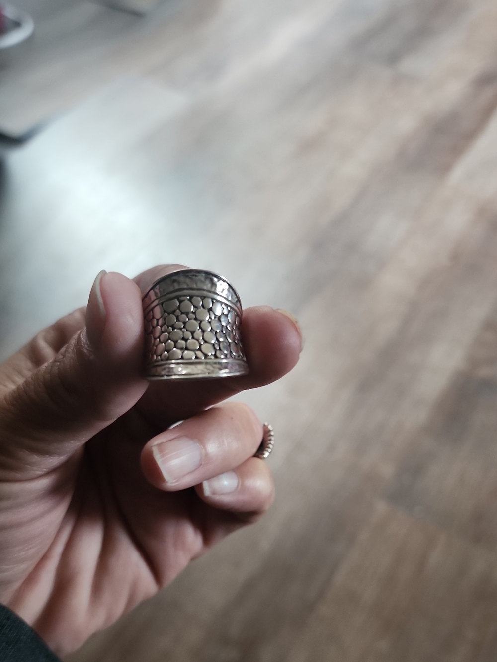 Silver Thimble for Reptile Habitat Accessory - Silver